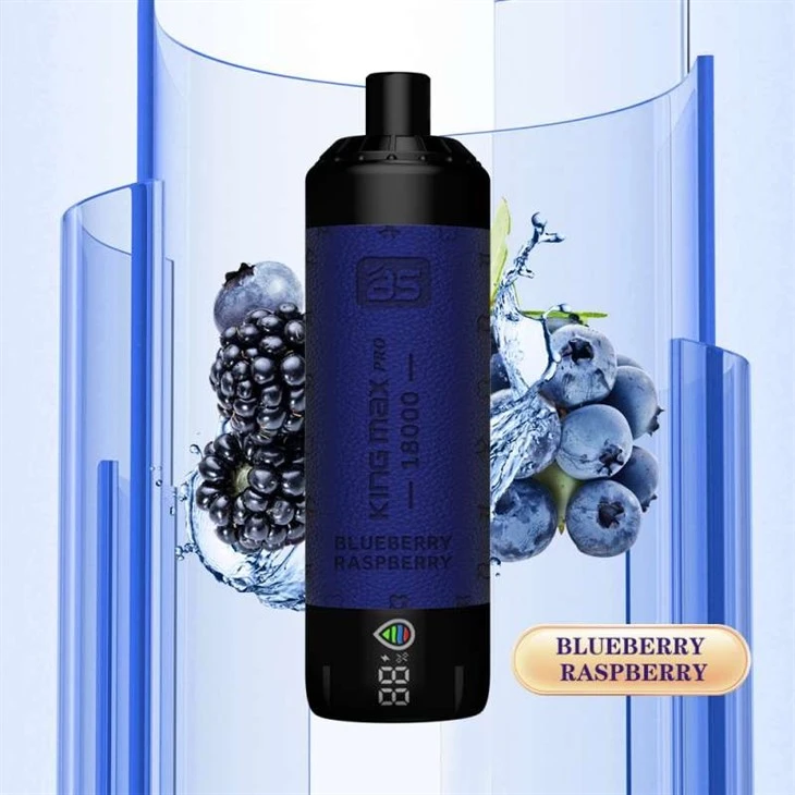 BLUEBERRY RASPBERRY_BS KING MAX PRO 18000