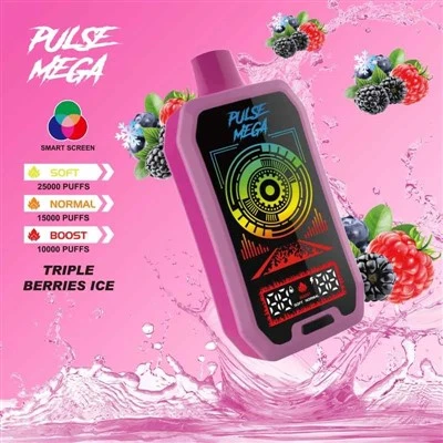 R&M PULSE MEGA 25000 puflar